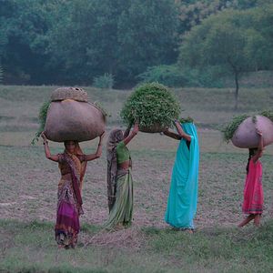 Bilder Krishnamurti, die Revolution der Stille