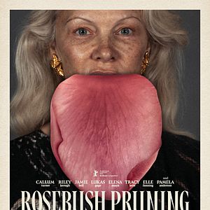 Bilder Rosebush Pruning