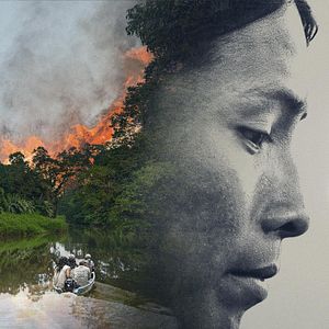 Bilder Patrol – Auf Patrouille durch den Regenwald