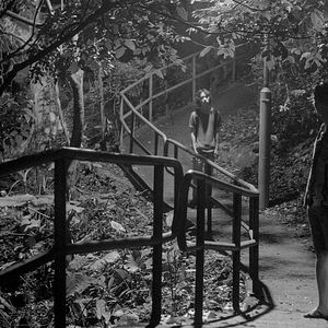 Bilder Queerpanorama