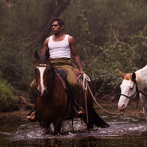 Bilder The Flood - Melodie der Rache