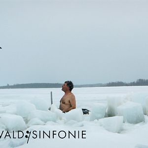 Bilder Wald:Sinfonie