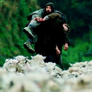 Bilder Vigil - Zeit der Stürme