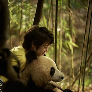 Bilder Moon, der Panda