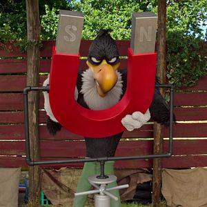 Bilder Woody Woodpecker geht ins Camp