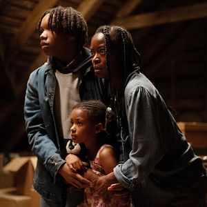 Bilder The Woman In The Yard