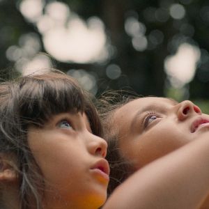 Bilder Das Wesen unsichtbarer Dinge 