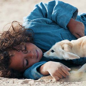 Bilder Die Legende des Wüstenkindes