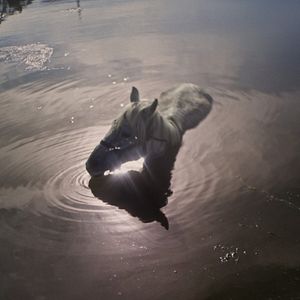 Bilder After Dreaming