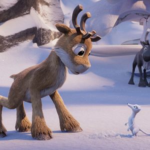 Bilder Niko - Reise zu den Polarlichtern