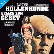 Bilder Höllenhunde bellen zum Gebet