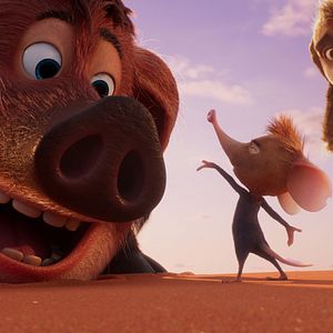 Bilder Tafiti - Ab durch die Wüste