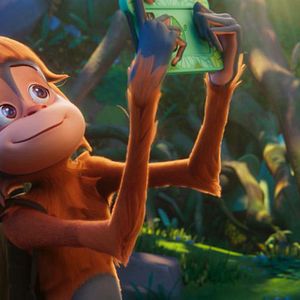 Bilder Jazzy - Chaos im Regenwald