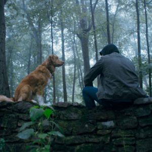 Bilder Good Boy - Trust His Instincts