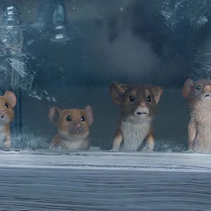 Bilder Mission: Mäusejagd - Chaos unterm Weihnachtsbaum