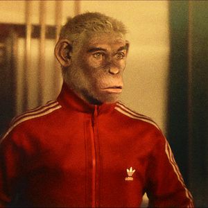 Bilder Robbie Williams