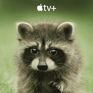 Bilder Das geheime Leben der Tiere