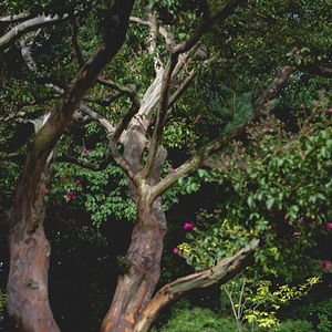 Bilder No Other Choice