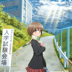 Bilder Rascal Does Not Dream Of A Sister Venturing Out