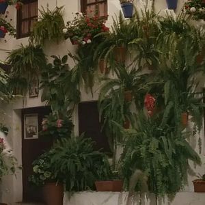 Bilder I Wish You Had Told Me