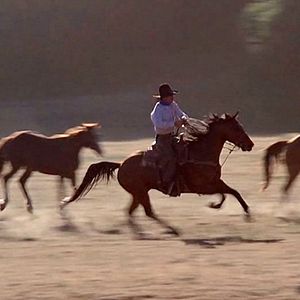 Bilder Ein Mann aus Stahl