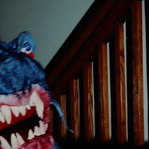 Bilder Doll Shark