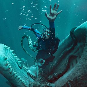 Bilder Whalefall