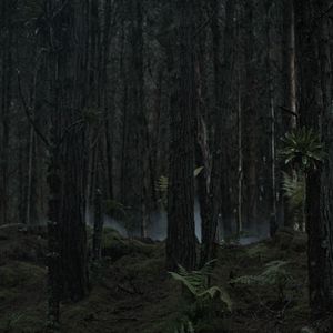 Bilder Quicksand - Gefangen im Treibsand