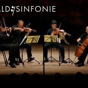 Bilder Wald:Sinfonie