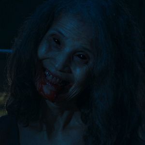 Bilder Creepy Crawly