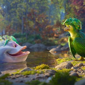 Bilder Swapped - Getauscht