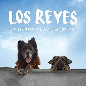 Bilder Los Reyes - Königliche Streuner