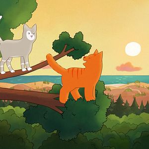 Bilder Tommy Tom - der verschwundene Teddybär