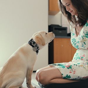 Bilder Was Hunde denken