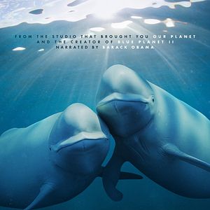 Bilder Unsere Ozeane