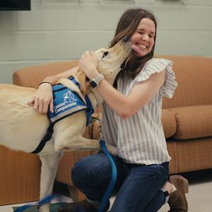 Bilder Was Hunde denken