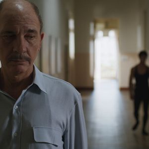 Bilder A Wolf Among The Swans