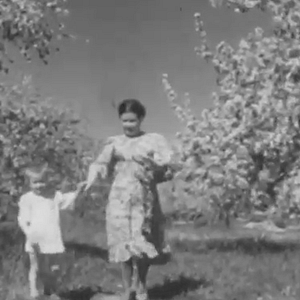 Bilder Schwarzer Zucker, Rotes Blut