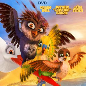 Bilder Überflieger - Kleine Vögel, großes Geklapper