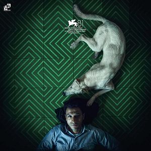 Bilder Seeking Haven For Mr. Rambo