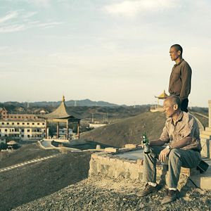 Bilder Black Dog - Weggefährten