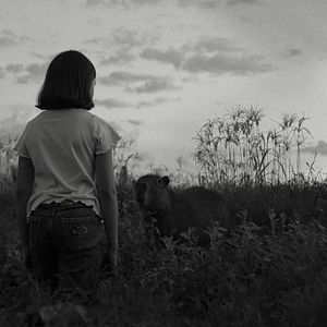 Bilder Die Nachricht