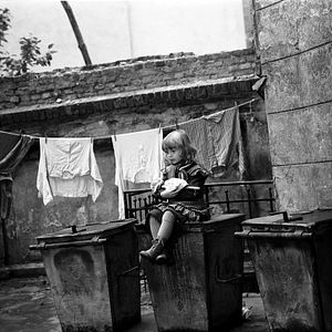 Bilder Kai aus der Kiste