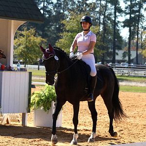 Bilder Lauren Kanarek