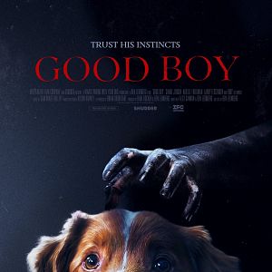 Bilder Good Boy - Trust His Instincts