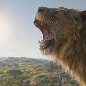 Bilder Mufasa: Der König der Löwen