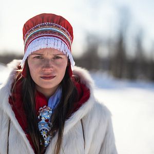 Bilder Das Leuchten der Rentiere