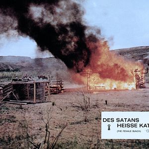 Bilder Des Satans heiße Katzen