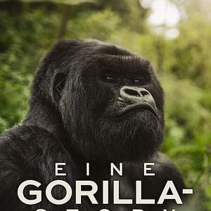 Bilder Eine Gorilla-Story erzählt von David Attenborough