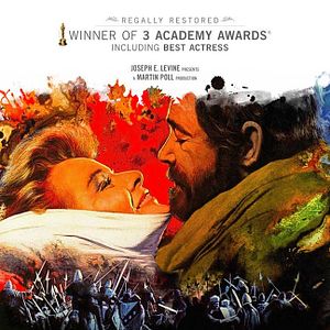 Bilder Der Löwe im Winter